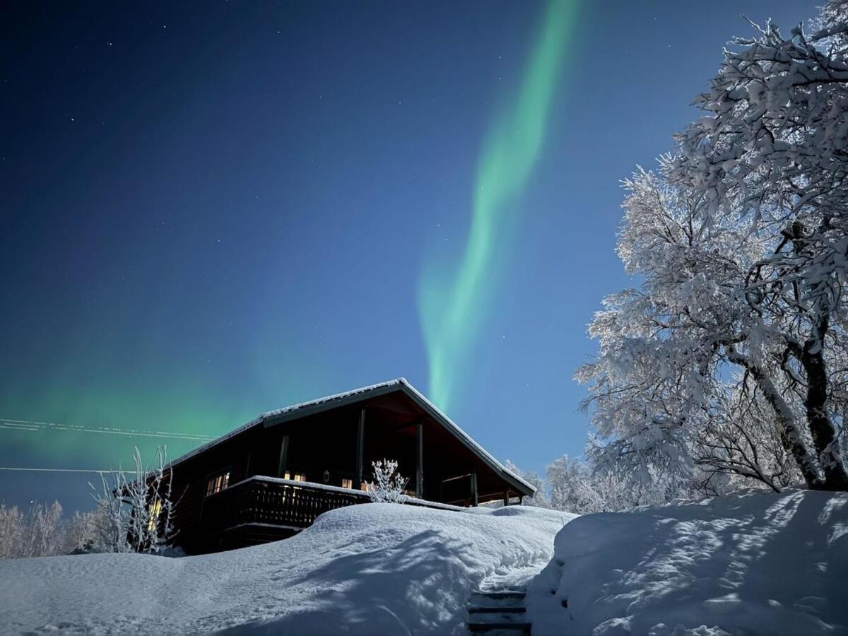 Trivelig Hytte I Senja. 外观 照片
